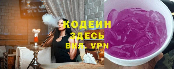 2c-b Бородино