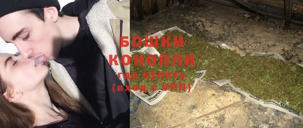 2c-b Бородино