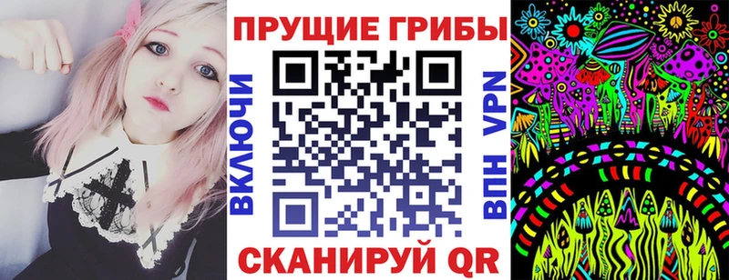 Галлюциногенные грибы Cubensis  omg маркетплейс  Новосокольники  где найти  
